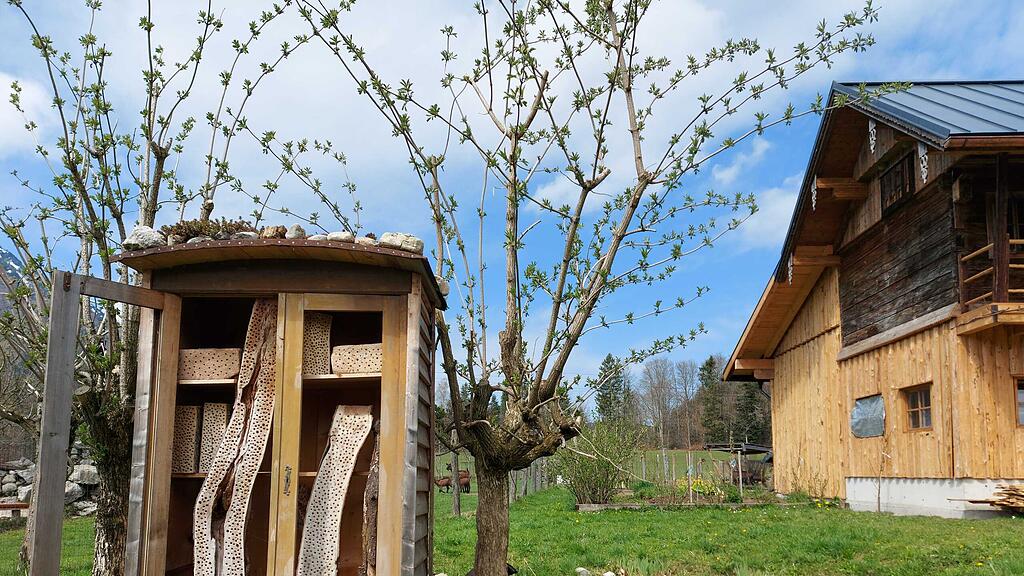 Streuobstwiese
