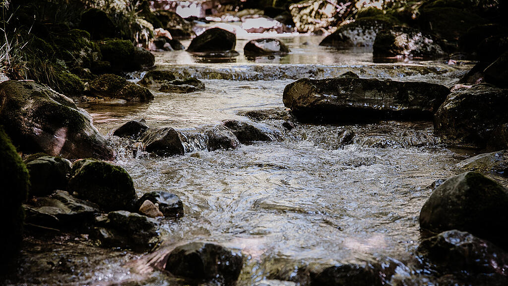 Alterbach, Gaisberg-2.jpg