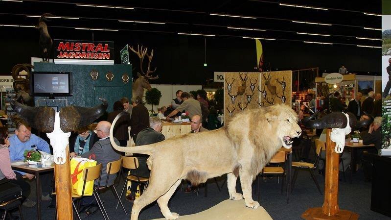 Die Jagdmesse ist eröffnet