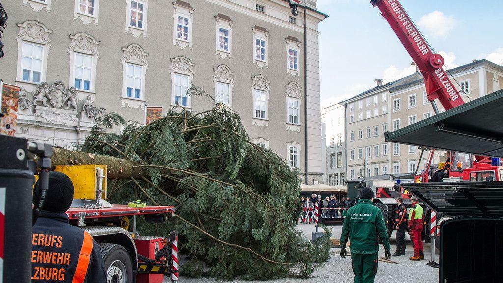Christbaum am Residenzplatz I