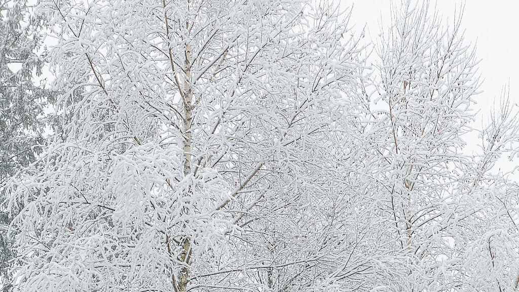 Schnee am Haunsberg