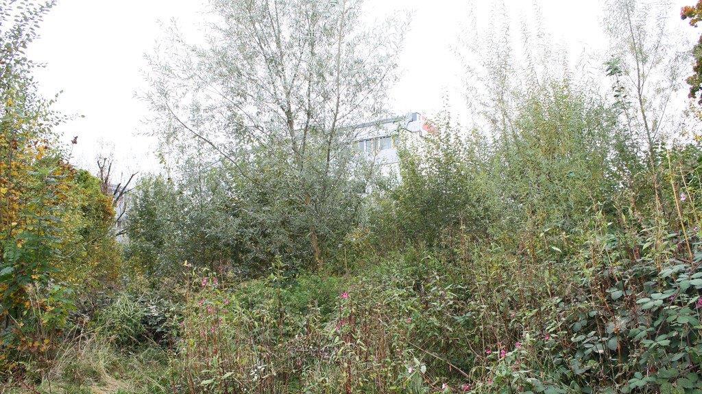 Hier soll gebaut werden