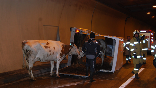 Durch den Unfall kam es zu Verkehrsbehinderungen.