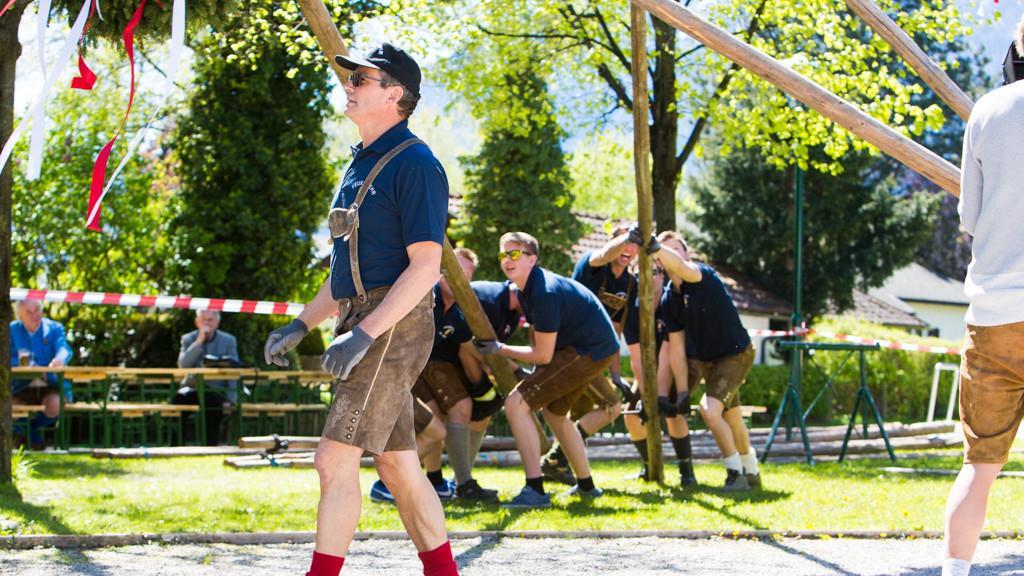 Maibaum in Anif