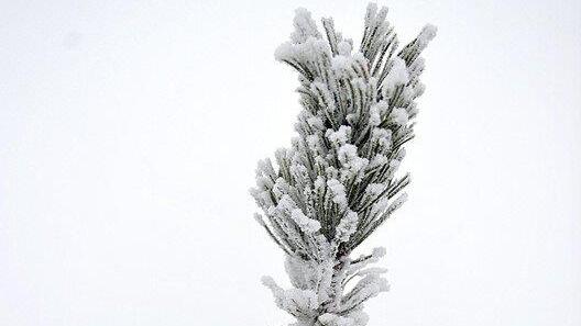 Winter im Flachgau: Gaisberg und Vorderfager