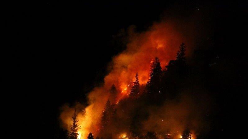 Waldbrand am Thumsee