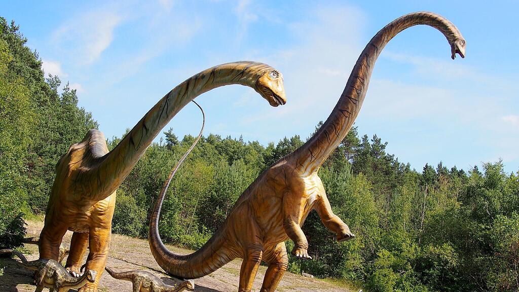 Eine Herde von Diplodocus-Sauriern./Symbolbild