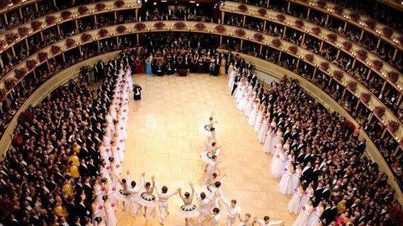 Opernball 2013: Debütanten