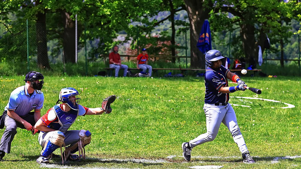 Braves Baseball Hallein_TVG Highlanders