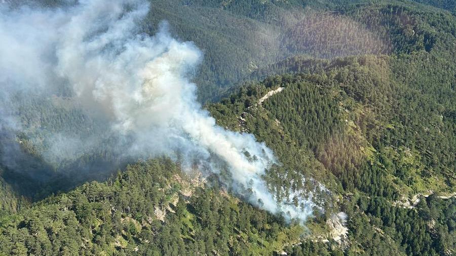 Waldbrand in der Rax