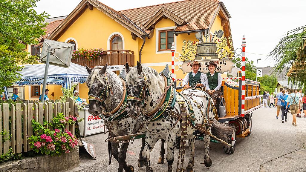 Walser Dorffest I