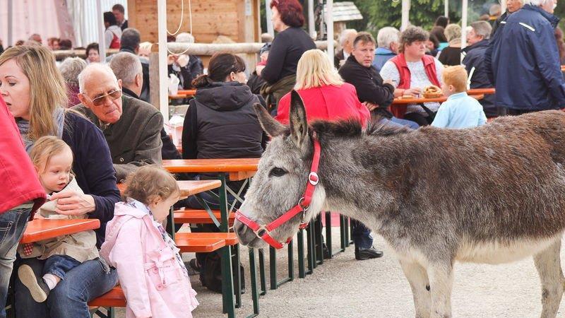 Frühlingsfest auf Gut Aiderbichl, II