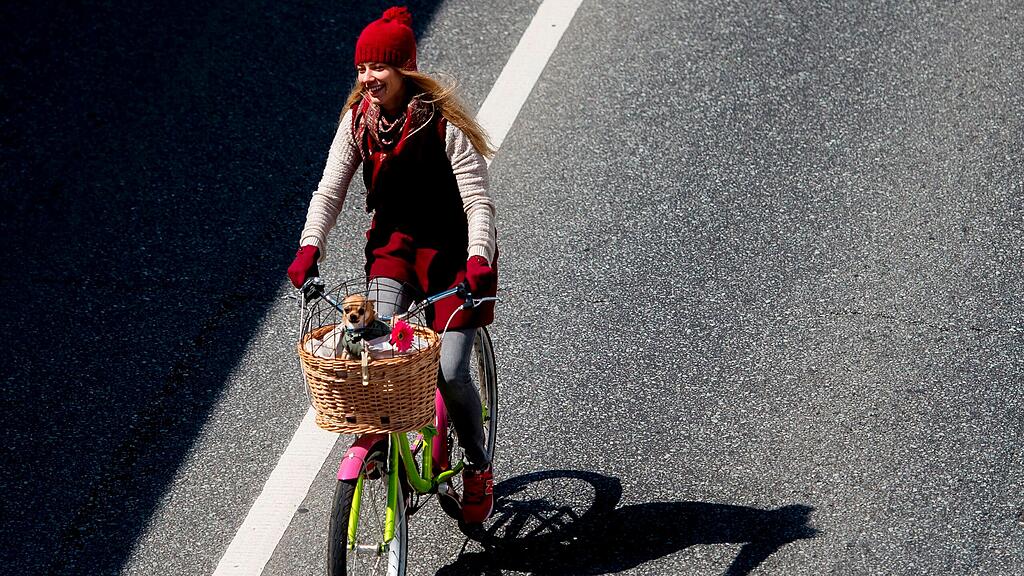 Hunde und ein Fahrrad: Das war in dem Fall eine schlechte Kombination. (Themenbild)