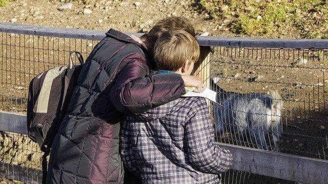 Warten aufs Christkind im Zoo