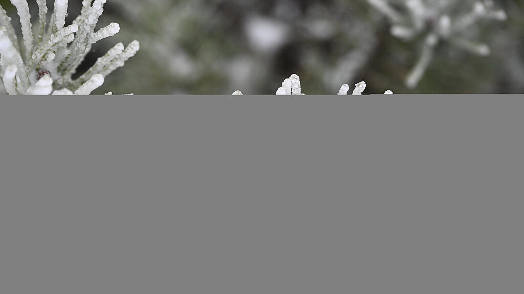 symb_winter_schnee