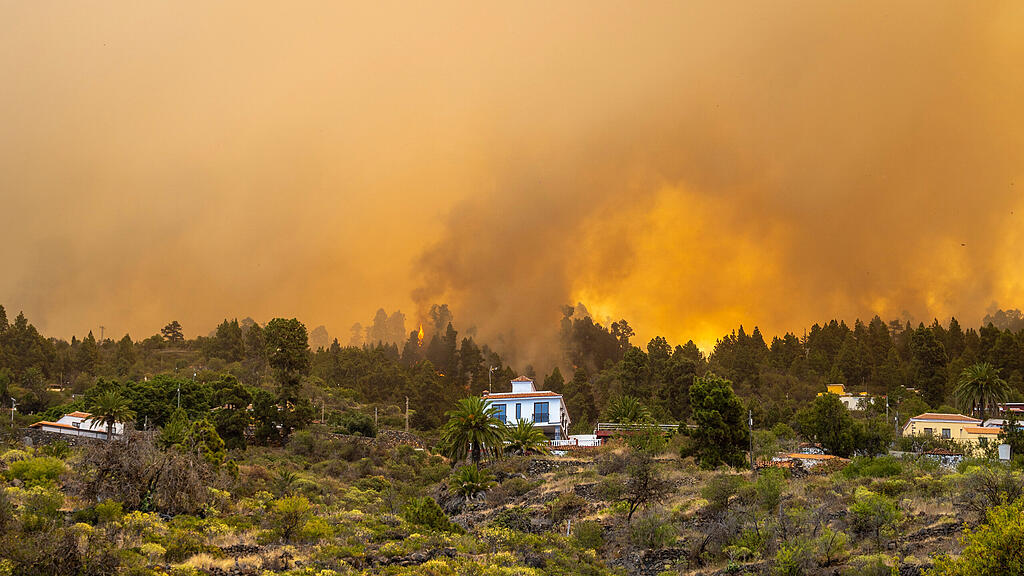 Waldbrand_LaPalma