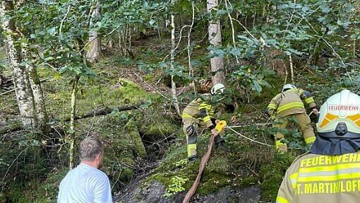 Tierrettung St. Martin bei Lofer