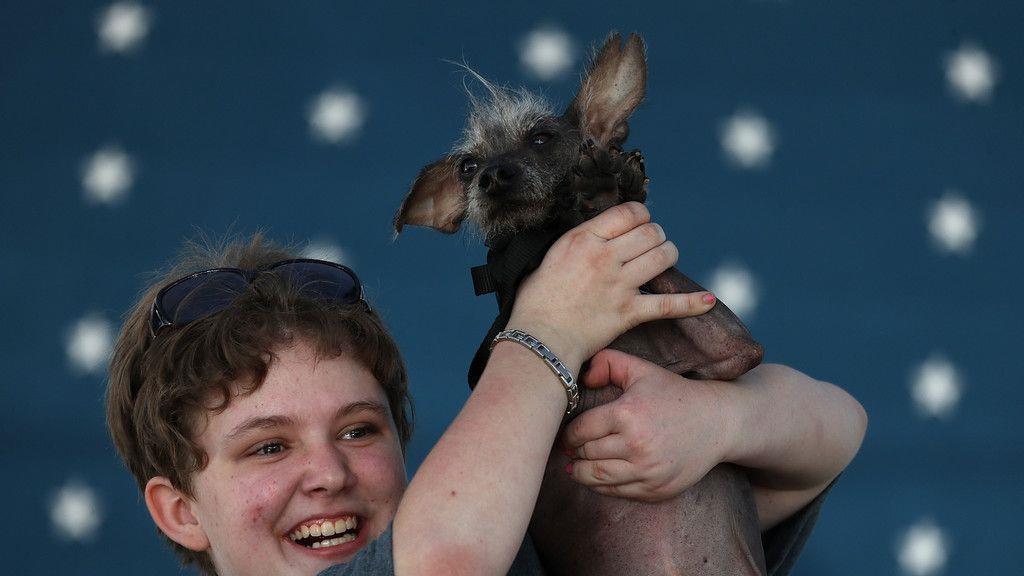 Wahl zum "Hässlichsten Hund"