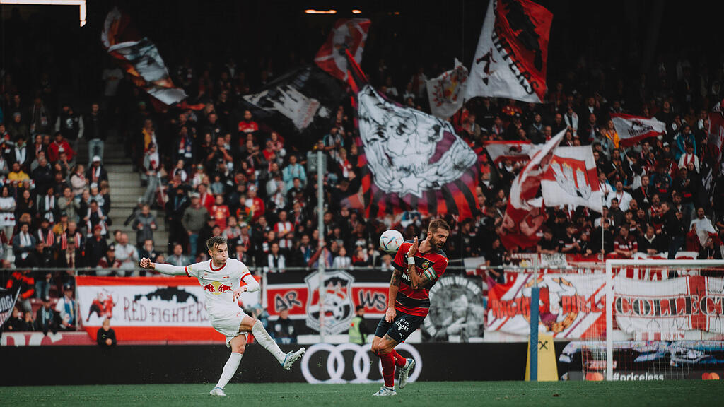 Amar Dedic, Red Bull Salzburg