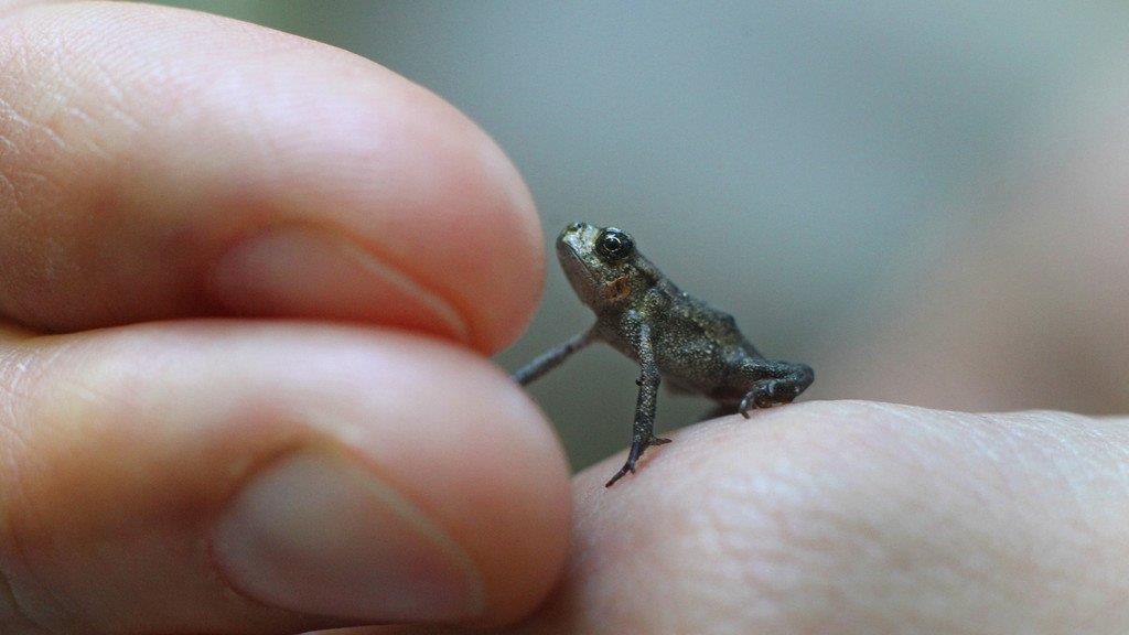 Die besten Tierbilder KW 30