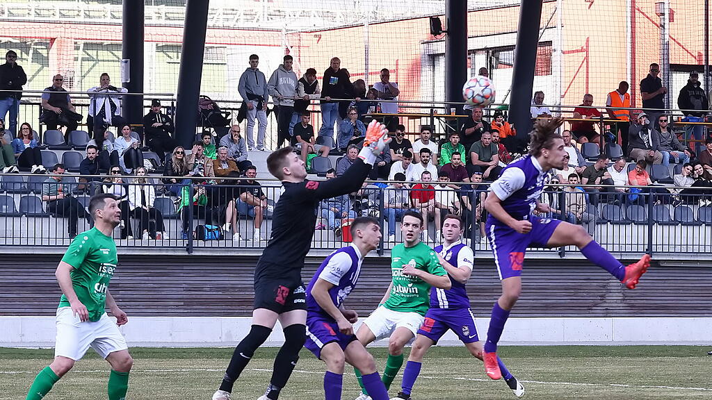 Hallein, Hallwang, Salzburger Liga