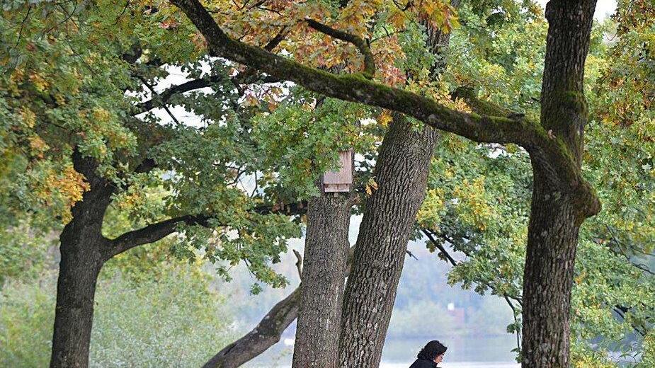 "Verrückter" Oktober in Salzburg
