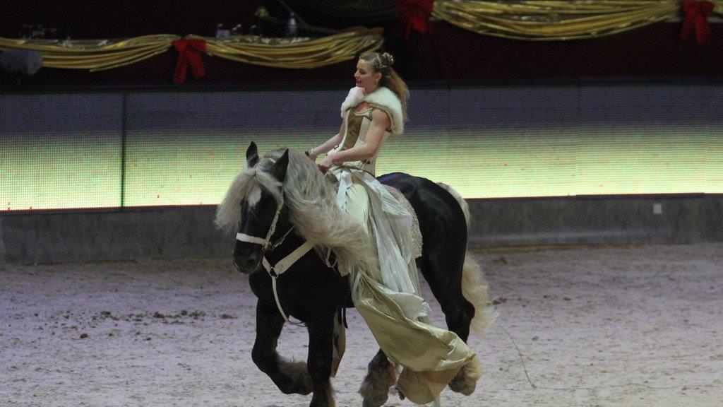 Mevisto Amadeus Horse Indoors 2014 in der Salzburgarena