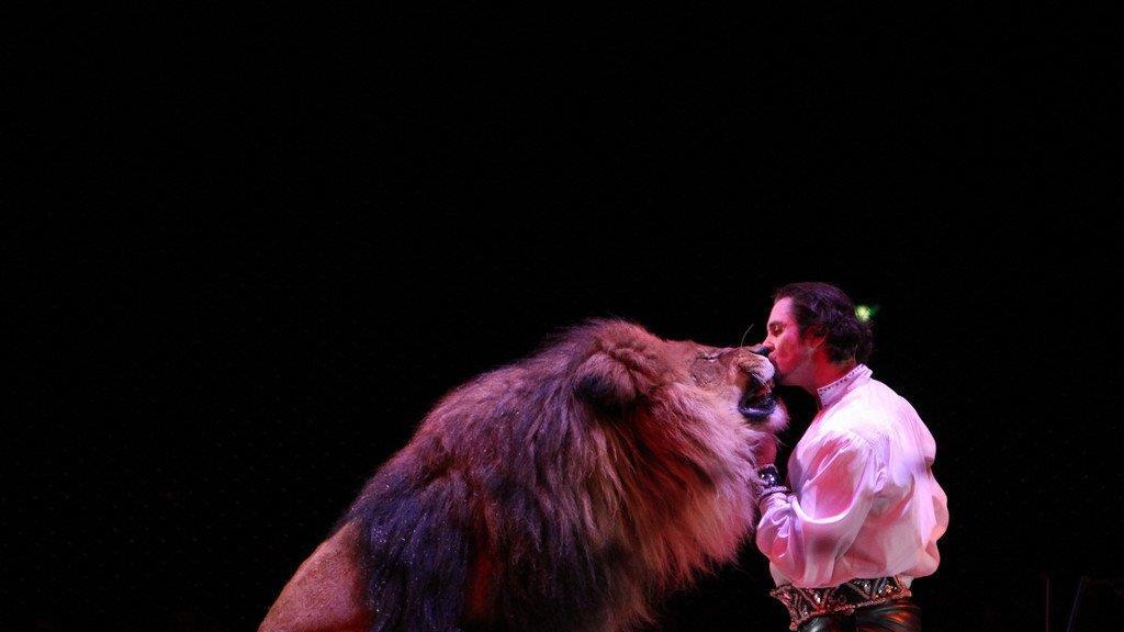 Circus Krone in Traunstein