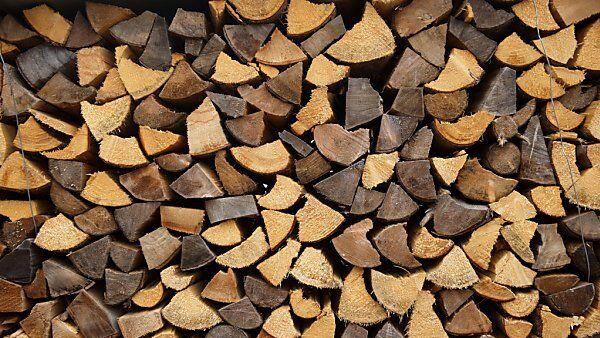 Internationaler Einsatz gegen illegalen Holzschlag