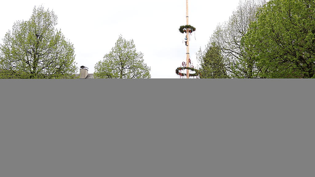 Maibaumaufstellen in Anif