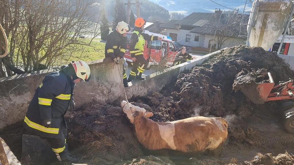 Die Freiwillige Feuerwehr konnte helfen