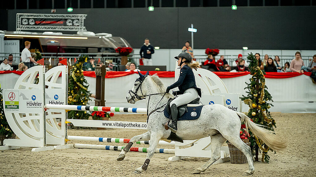 Amadeus Horse Indoors 2023