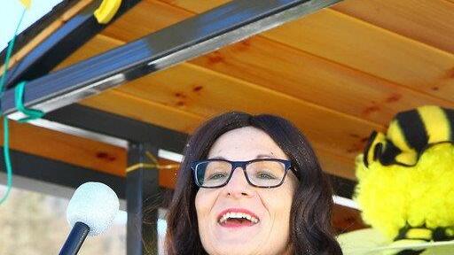 Faschingsumzug in Elsbethen I