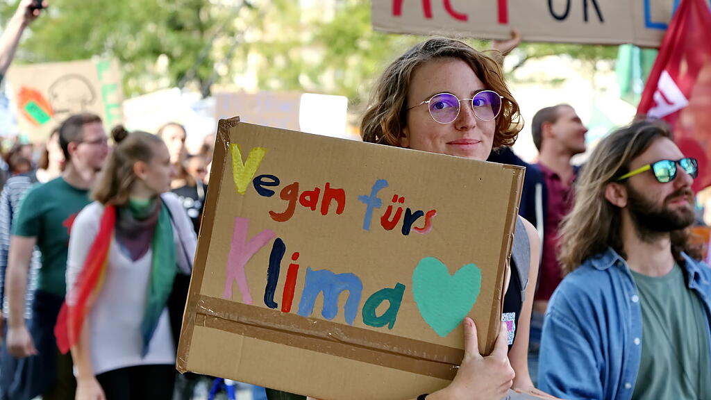 Klimastreik in Salzburg I