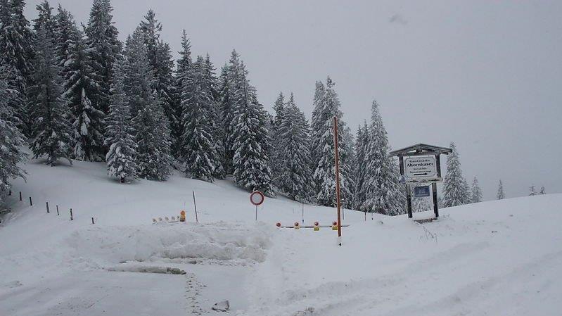 Schneefall am Roßfeld