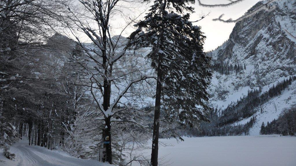 Die Natur genießen