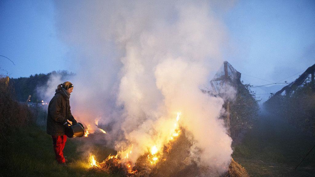 Bauern kämpfen gegen Frost