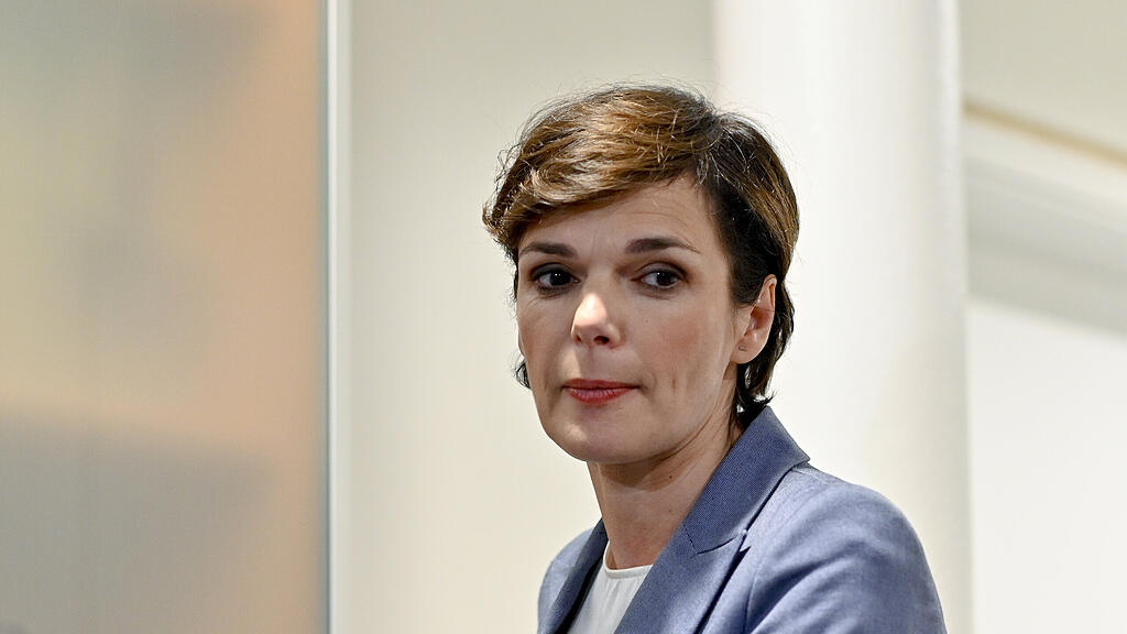Pamela Rendi-Wagner, SPÖ
