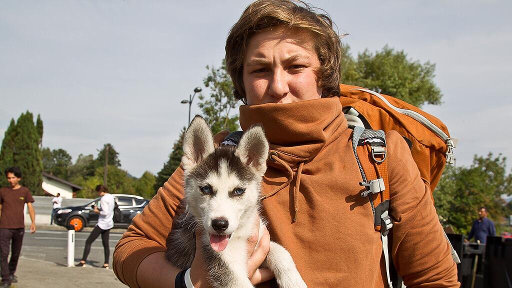 Aslan mit dem zweimönatigen Hundewelpen Rose an der Grenze zwischen Salzburg und Freilassing.