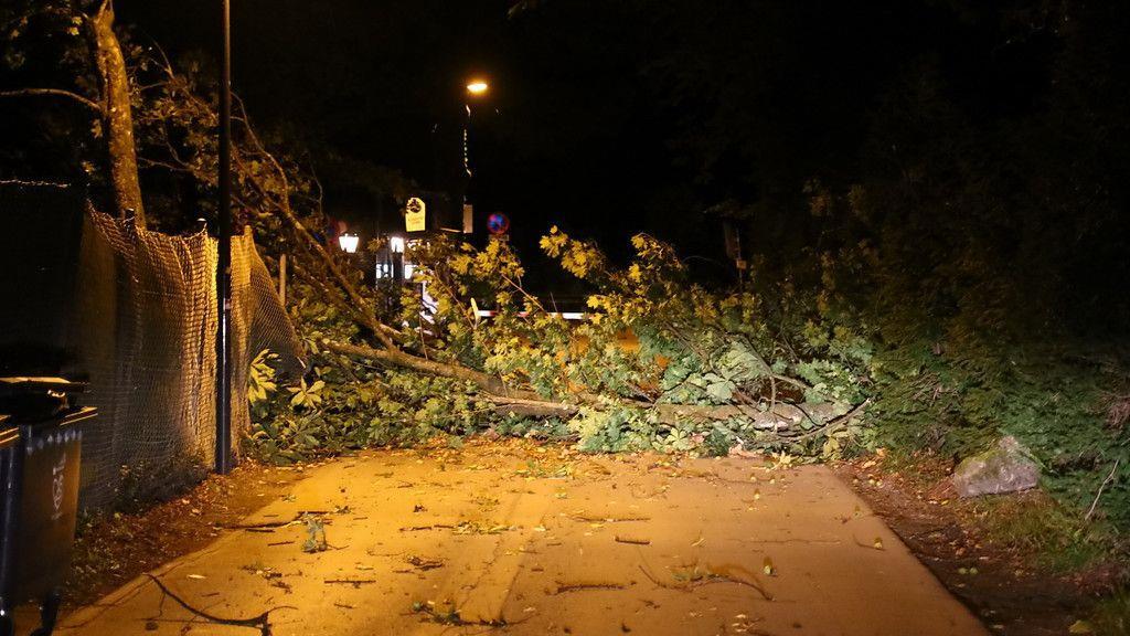 Sturm: Feuerwehren in Salzburg im Großeinsatz