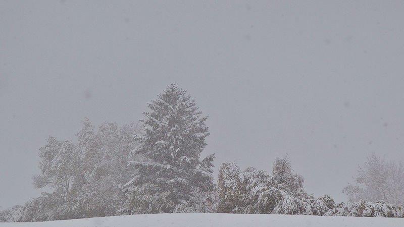 Schnee im Flachgau