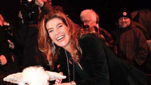 Mehr Bilder der Stars