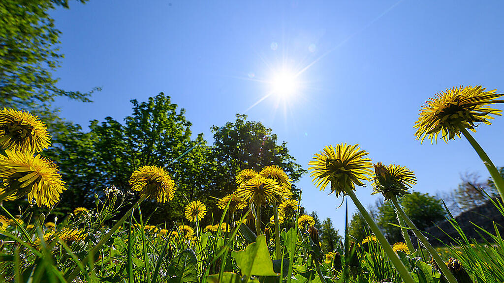 Schönes Wetter und hohe Temperaturen am Donnerstag