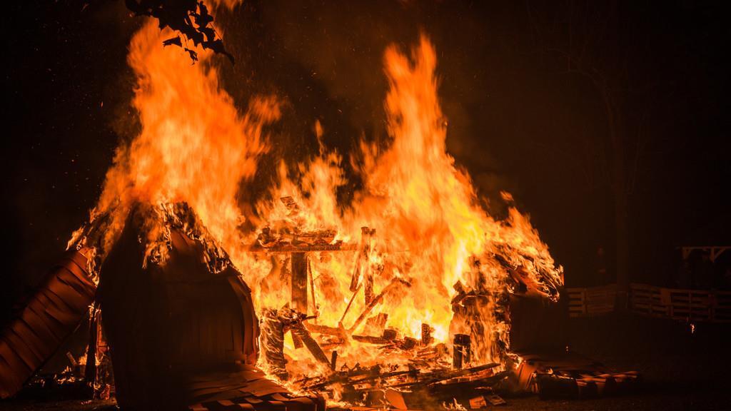 Burning Animal II