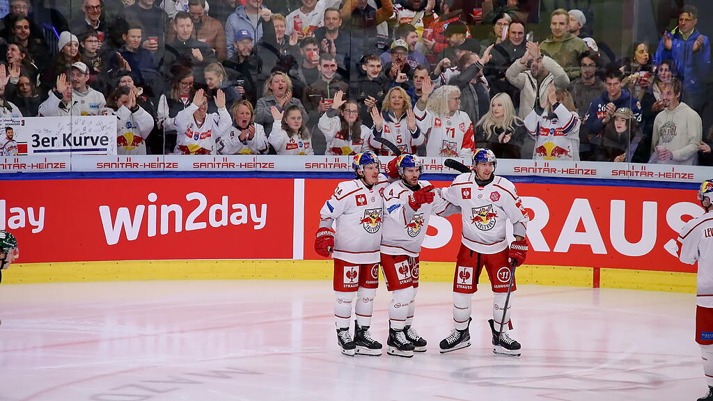 Eisbullen gegen Eisbären Berlin