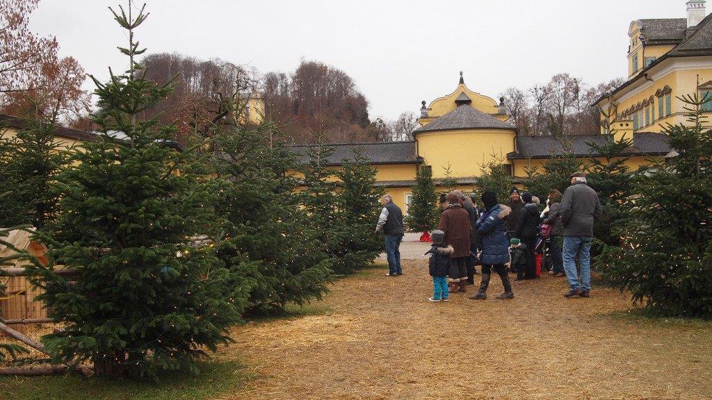 Christkindlmarkt in Hellbrunn