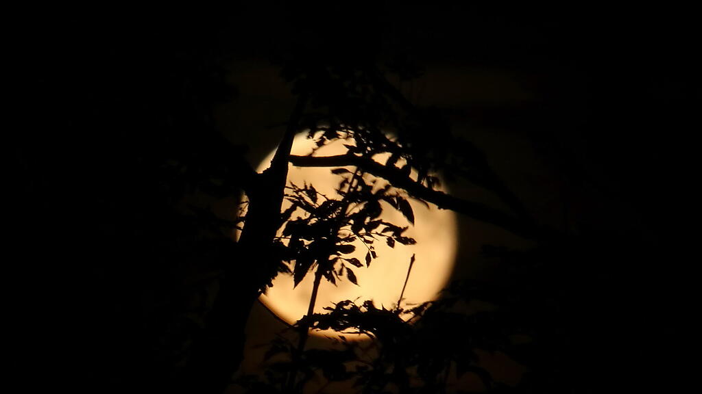 Roter Mond, Salzburg
