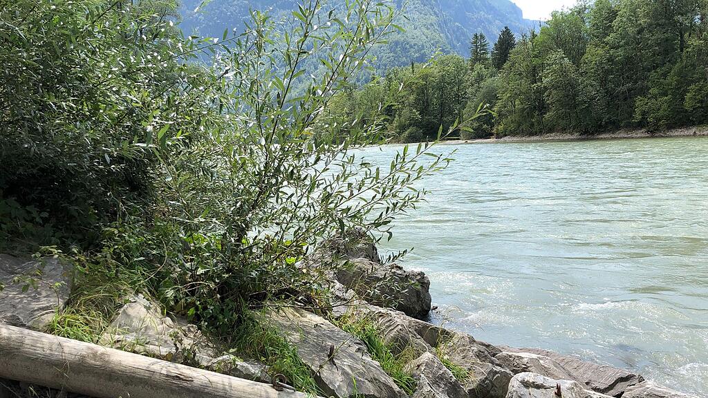 Salzach, Golling