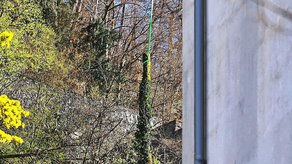 Hubschrauber am Kapuzinerberg