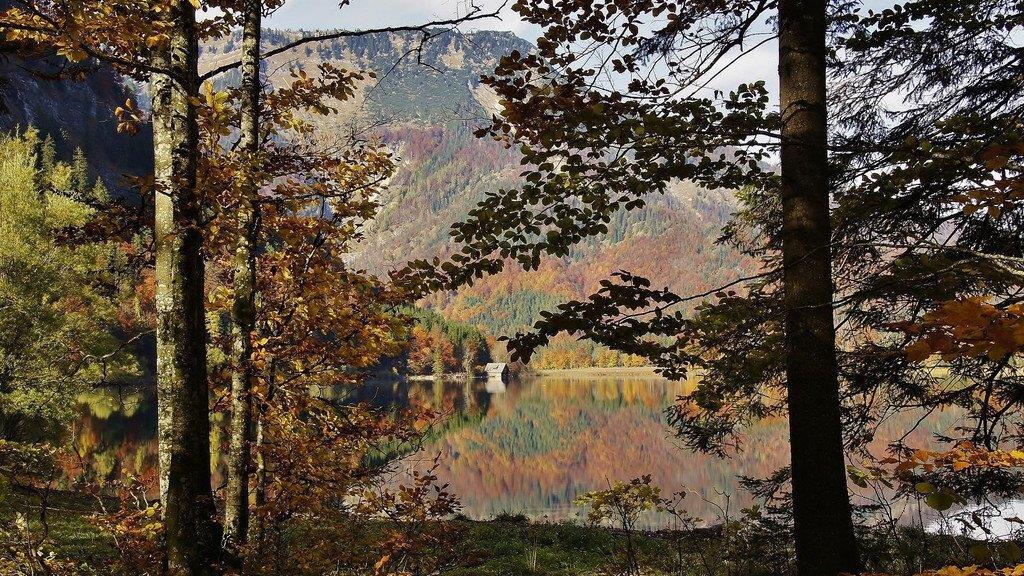 Herbstzeit am Offensee